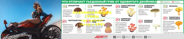 мдпв Нягань