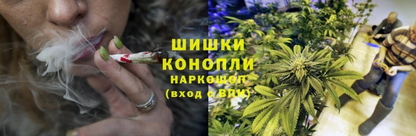 мдпв Няндома