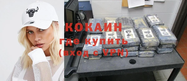 гидра Михайловка